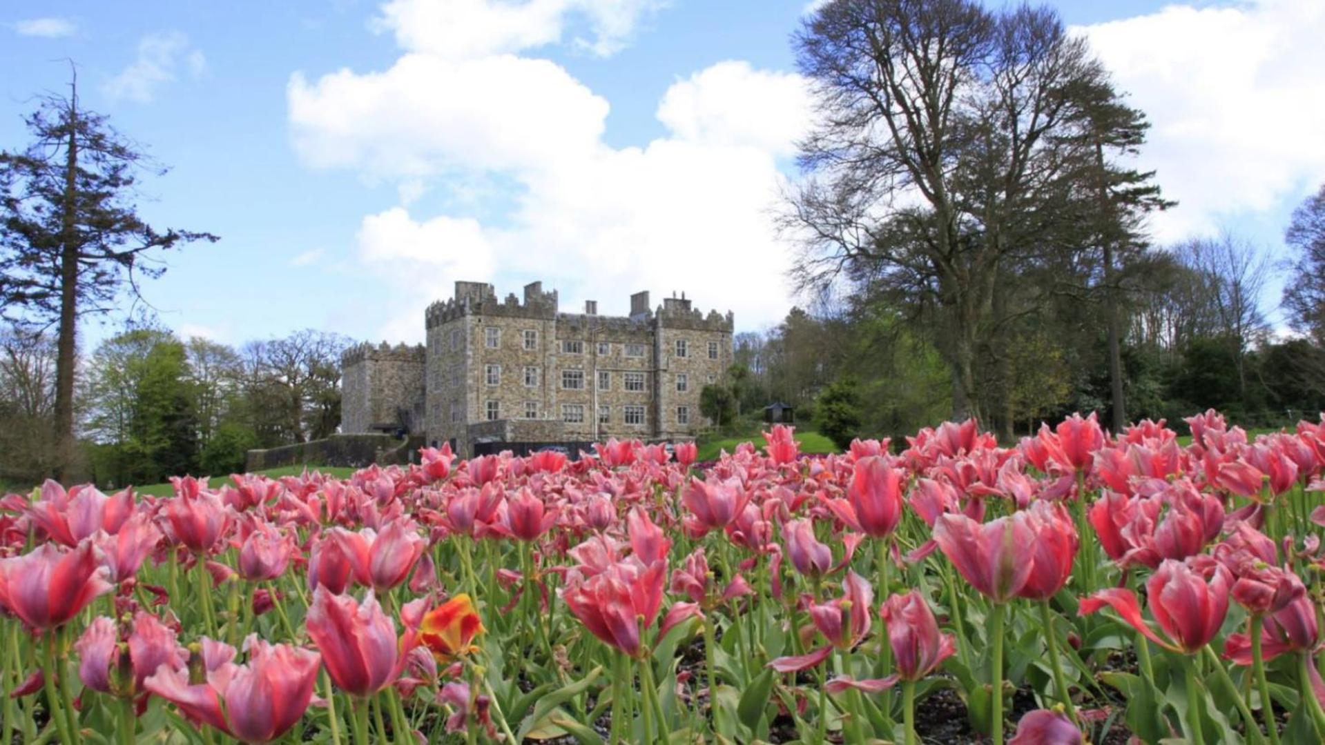 Waterford Castle Hotel Lodges Exterior photo